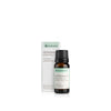 ZENGROWTH Organic Essential Oil Peppermint 10ml