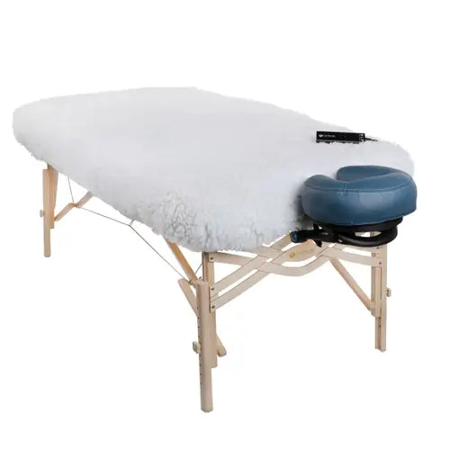 Second Chance Deluxe Table Heater Zen Massage